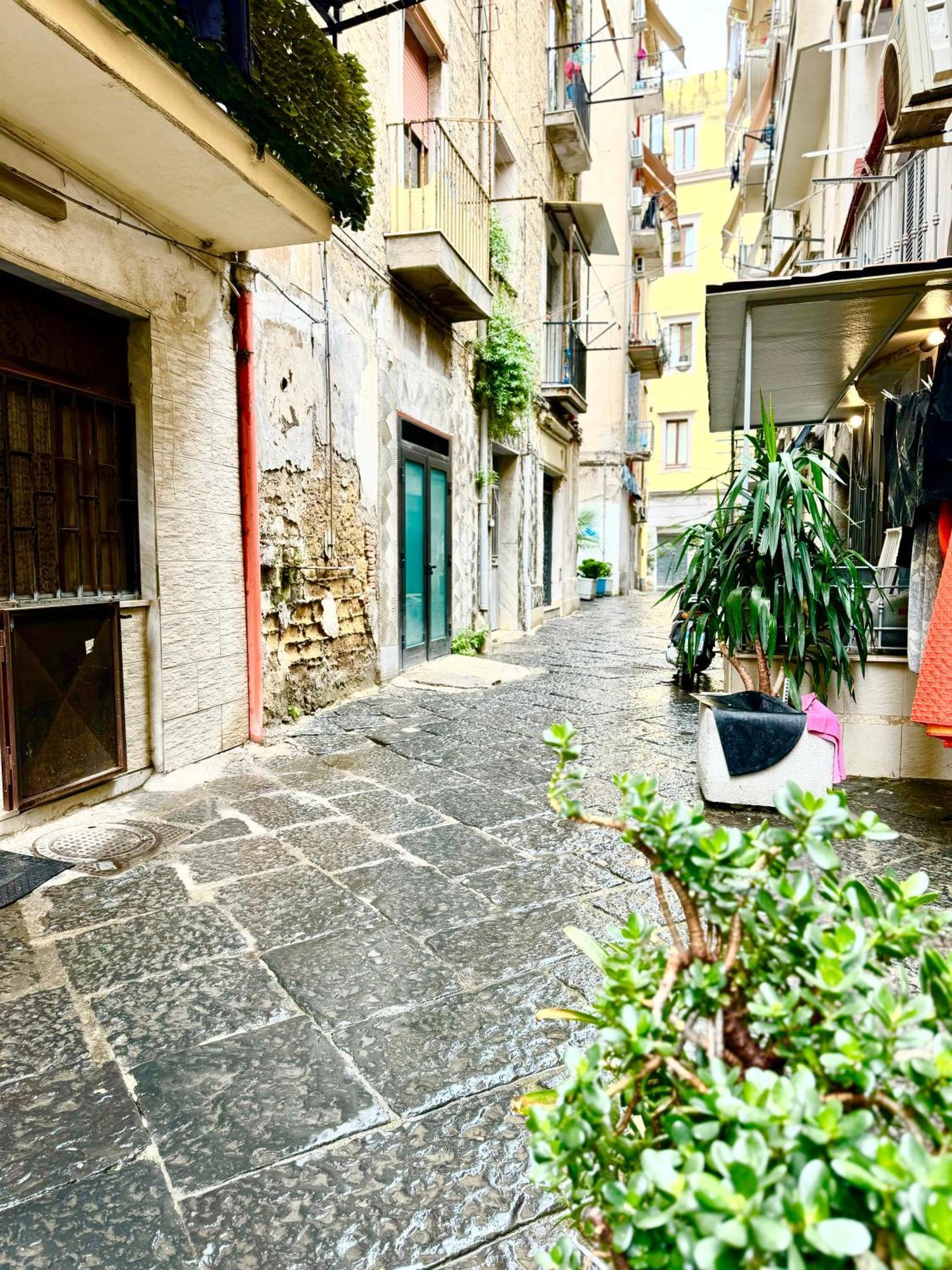 Vesuvius House Apartment Naples Luaran gambar